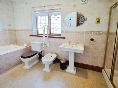 Picture 15